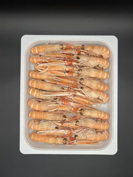 Fournisseur de langoustine 16/20 pour les professionnel en Normandie